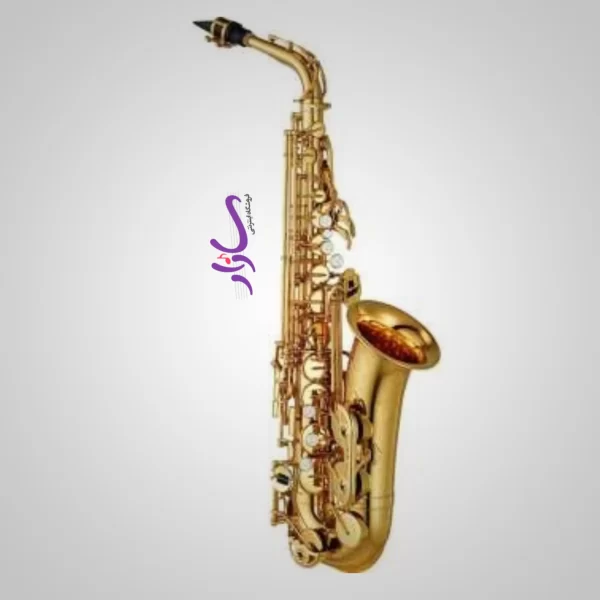 ساکسیفون آلتو بست فان