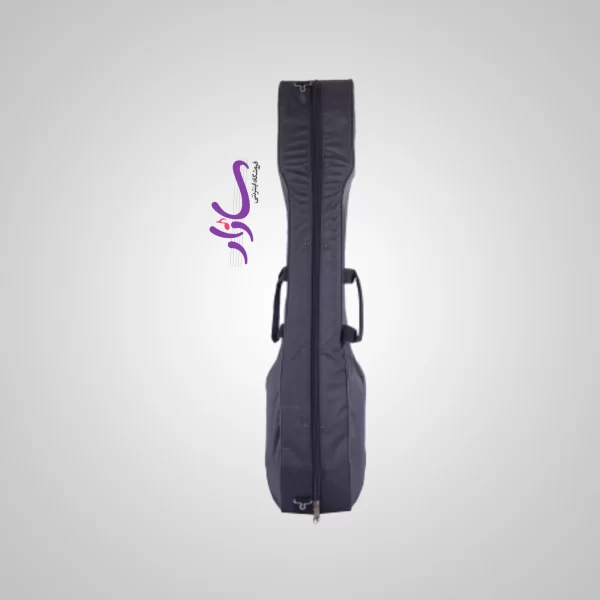 هاردکیس تنبور