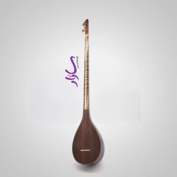 سه تار عظیمی ساده وسط دسته استخوان